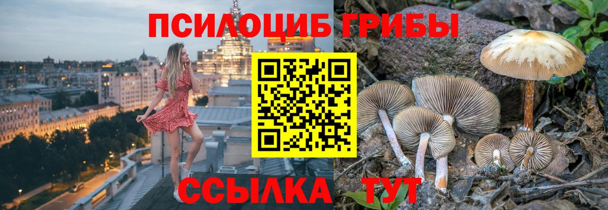 Галлюциногенные грибы MAGIC MUSHROOMS Нерюнгри