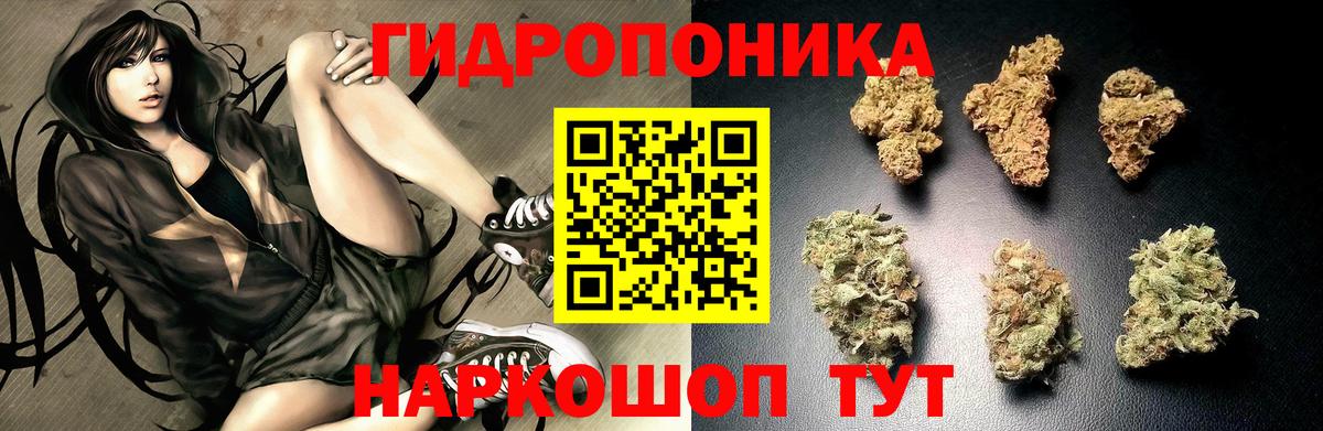 Нерюнгри  МАРИХУАНА LSD WEED  Конопля MAZAR  Бошки Шишки Amnesia  Вход с VPN 